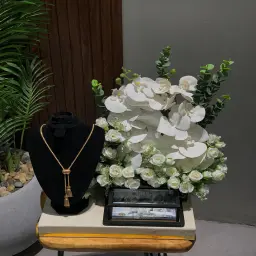 شبكه